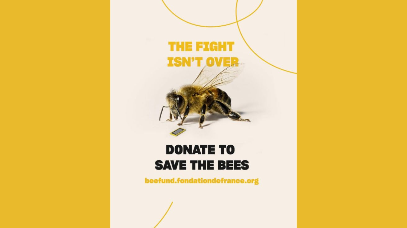 오늘의 인사이트 썸네일